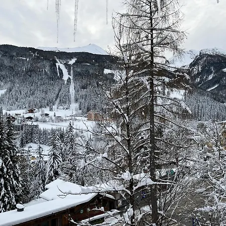 Zirbe Bad Gastein